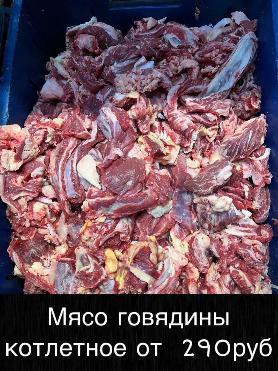 мясо - говядина и др оптом! в Хабаровске 6