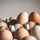 Приведет ли вспышка птичьего гриппа в Хабаровском крае к дефициту куриных яиц