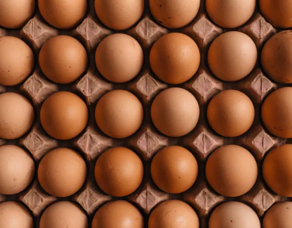 В Хабаровском крае увеличили производство куриного яйца
