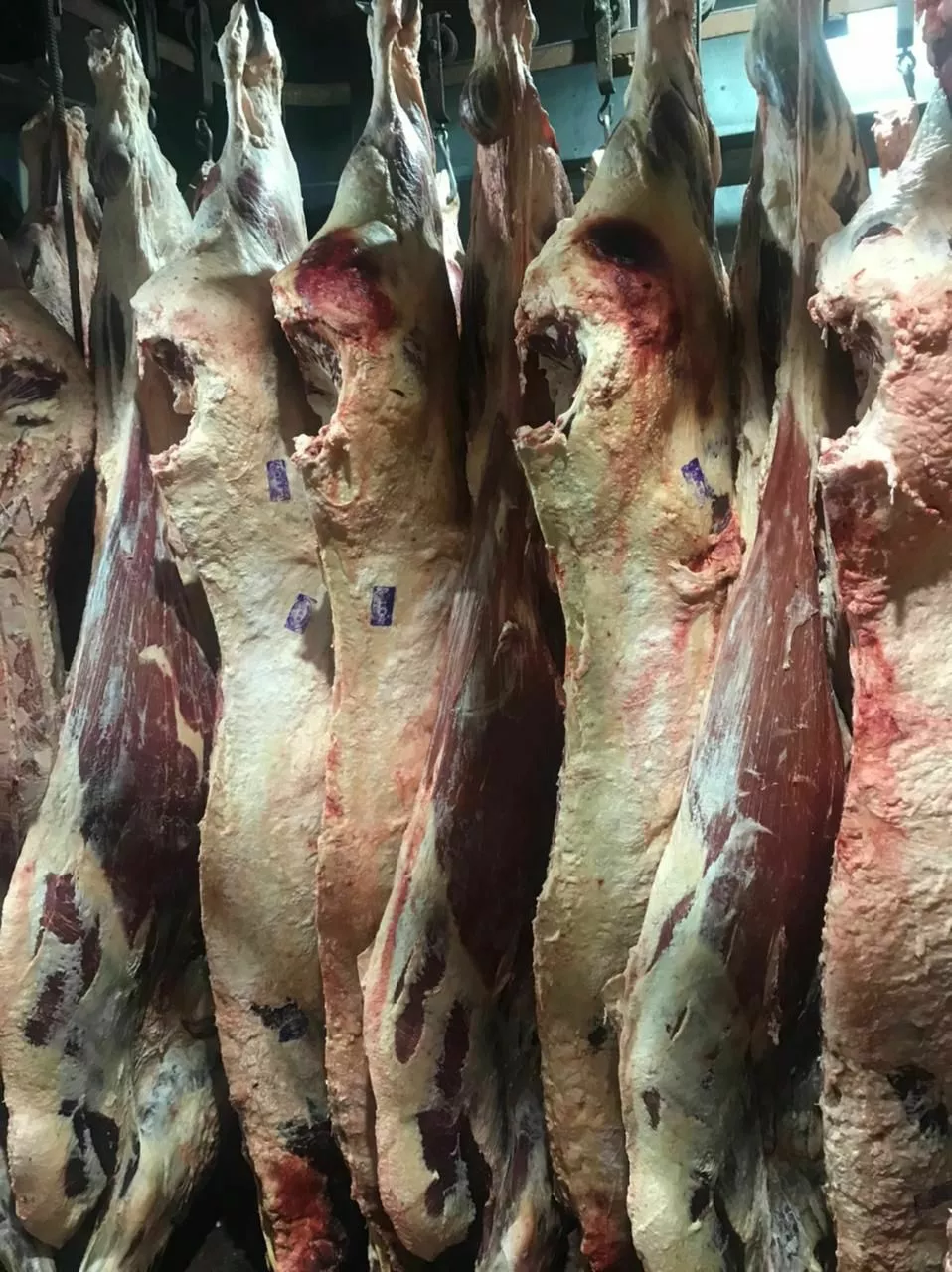 мясо говядины в ассортименте  в Хабаровске и Хабаровском крае